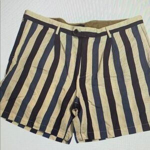 Striped Navy and Beige Shorts